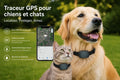 Collier GPS Intelligent sans Abonnement pour Chien et Chat - Traceur d'Activité